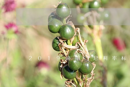2019逾期罚息利率标准 2019逾期罚息利率标准