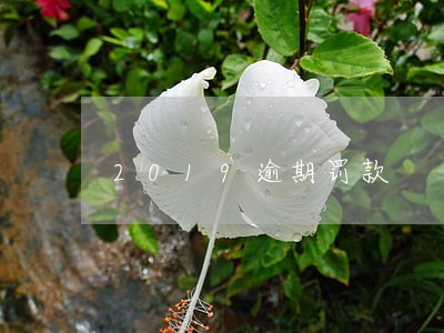 2019逾期罚款 2019逾期罚款