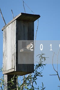2019逾期被停卡 2019逾期被停卡