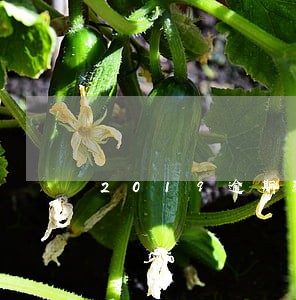 2019逾期验车处罚规定 2019逾期验车处罚规定
