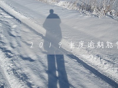 2019重度逾期能贷款的 2019重度逾期能贷款的