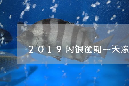 2019闪银逾期一天冻结 2019闪银逾期一天冻结