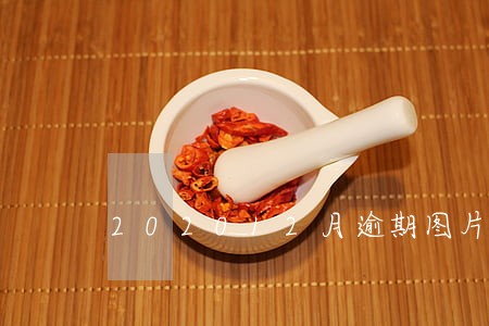 202012月逾期图片