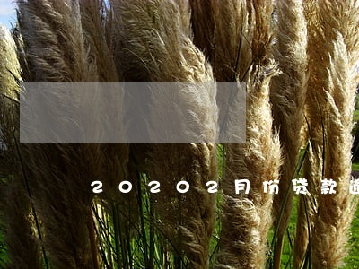 20202月份贷款逾期