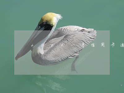 2020一月信用卡逾期怎么算 2020一月信用卡逾期怎么算