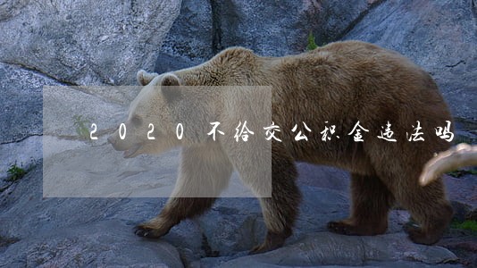 2020不给交公积金违法吗 2020不给交公积金违法吗