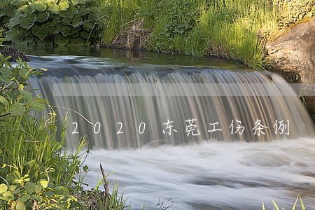 2020东莞工伤条例 2020东莞工伤条例