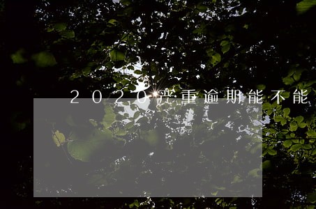 2020严重逾期能不能办信用卡 2020严重逾期能不能办信用卡