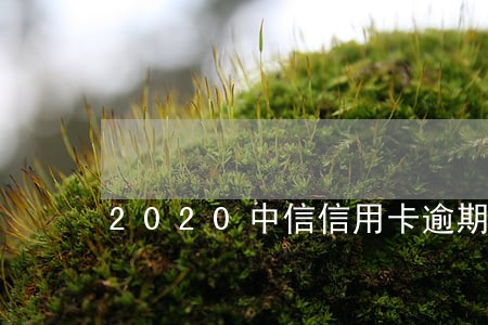 2020中信信用卡逾期九千 2020中信信用卡逾期九千