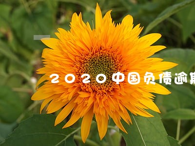 2020中国负债逾期多少人 2020中国负债逾期多少人