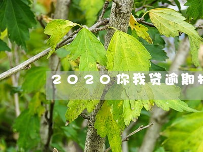 2020你我贷逾期打通讯录 2020你我贷逾期打通讯录