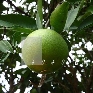 2020信用卡逾期 2020信用卡逾期