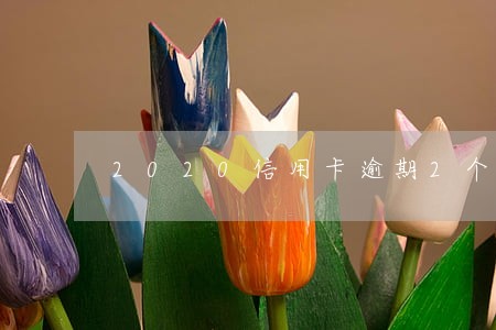 2020信用卡逾期2个月 2020信用卡逾期2个月