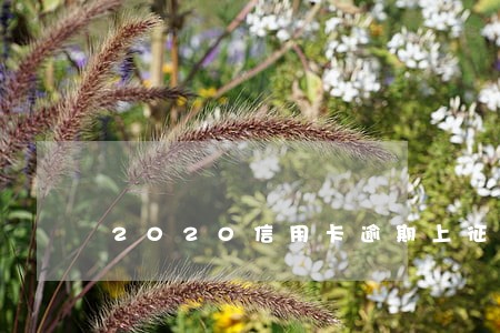 2020信用卡逾期上征信吗