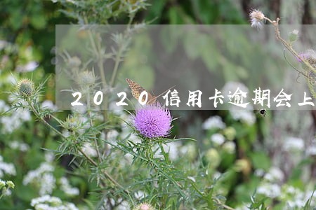 2020信用卡逾期会上征信吗 2020信用卡逾期会上征信吗
