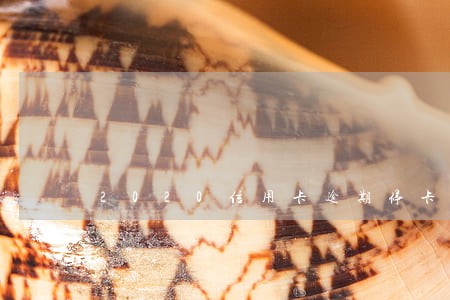 2020信用卡逾期停卡新法规