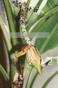 2020信用卡逾期名单沧州 2020信用卡逾期名单沧州