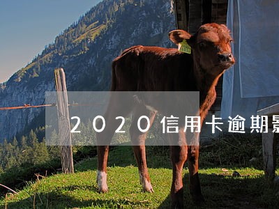 2020信用卡逾期影响征信吗 2020信用卡逾期影响征信吗