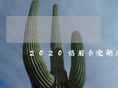 2020信用卡逾期总额是多少 2020信用卡逾期总额是多少