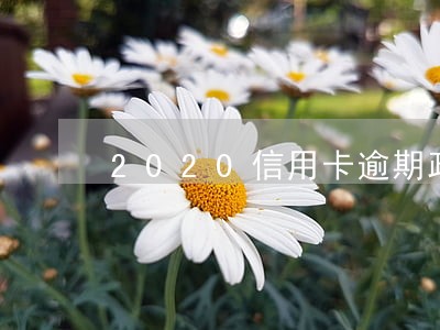 2020信用卡逾期政策 2020信用卡逾期政策