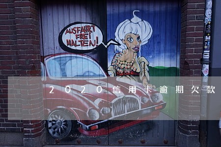2020信用卡逾期欠款 2020信用卡逾期欠款