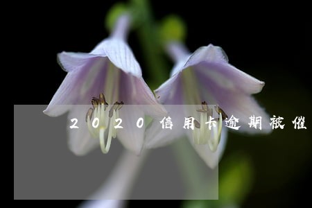2020信用卡逾期被催收 2020信用卡逾期被催收