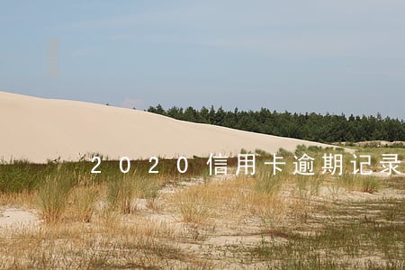 2020信用卡逾期记录