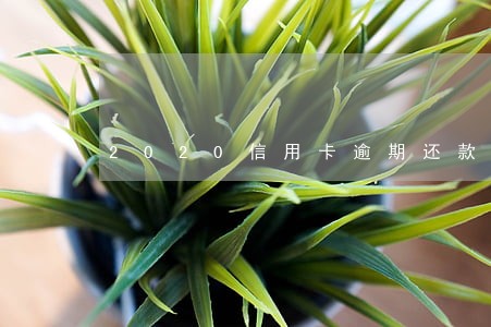 2020信用卡逾期还款 2020信用卡逾期还款