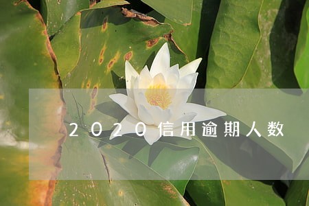 2020信用逾期人数 2020信用逾期人数