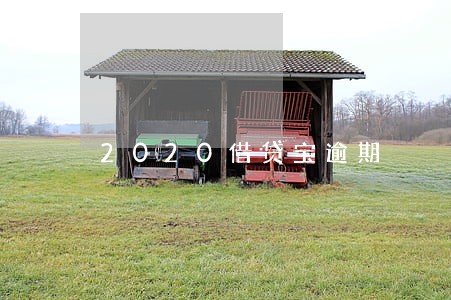 2020借贷宝逾期 2020借贷宝逾期