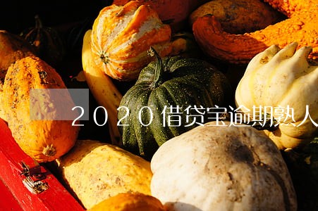 2020借贷宝逾期熟人借贷 2020借贷宝逾期熟人借贷