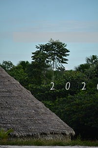 2020凤凰金融最新逾期 2020凤凰金融最新逾期