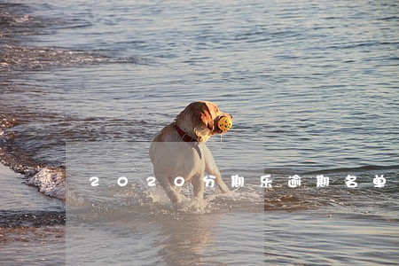 2020分期乐逾期名单 2020分期乐逾期名单