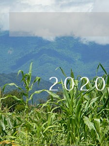 2020劳动法未成年人