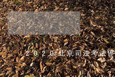 2020北京司法考试停考了吗