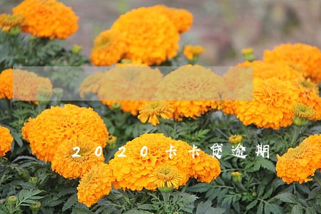 2020卡卡贷逾期