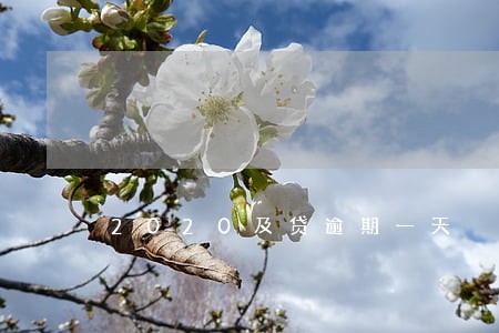 2020及贷逾期一天