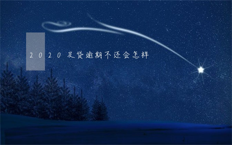 2020及贷逾期不还会怎样