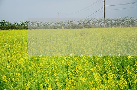 2020及贷逾期了会怎么样