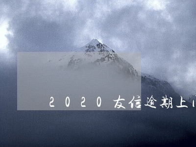 2020友信逾期上门 2020友信逾期上门