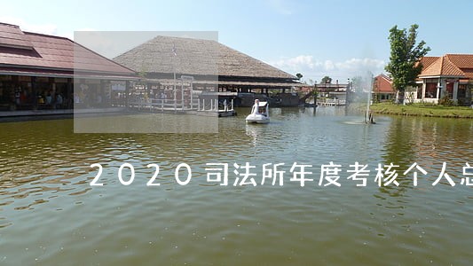 2020司法所年度考核个人总结