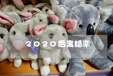 2020后离婚率 2020后离婚率