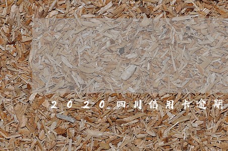 2020四川信用卡逾期名单 2020四川信用卡逾期名单