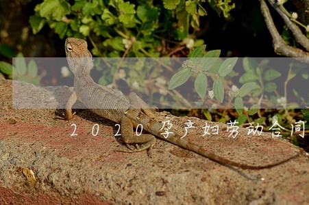 2020孕产妇劳动合同法 2020孕产妇劳动合同法