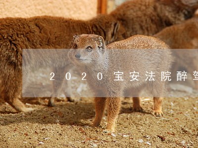 2020宝安法院醉驾判决书 2020宝安法院醉驾判决书