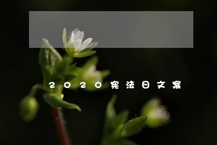 2020宪法日文案 2020宪法日文案