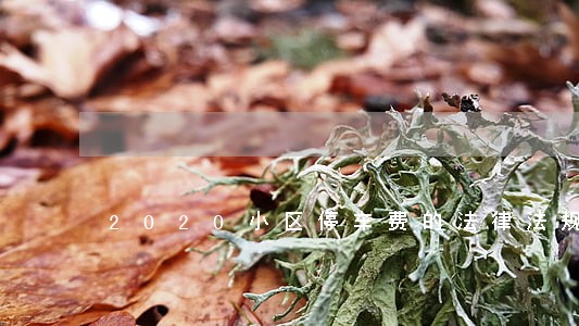 2020小区停车费的法律法规 2020小区停车费的法律法规