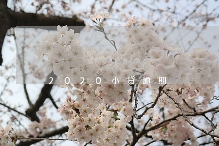 2020小贷逾期 2020小贷逾期