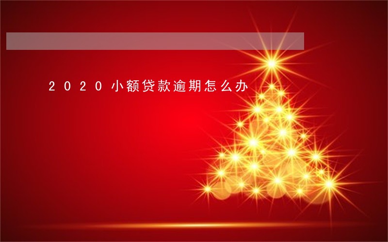 2020小额贷款逾期怎么办 2020小额贷款逾期怎么办