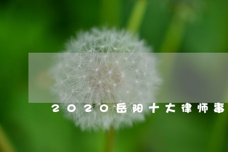 2020岳阳十大律师事务所排行
